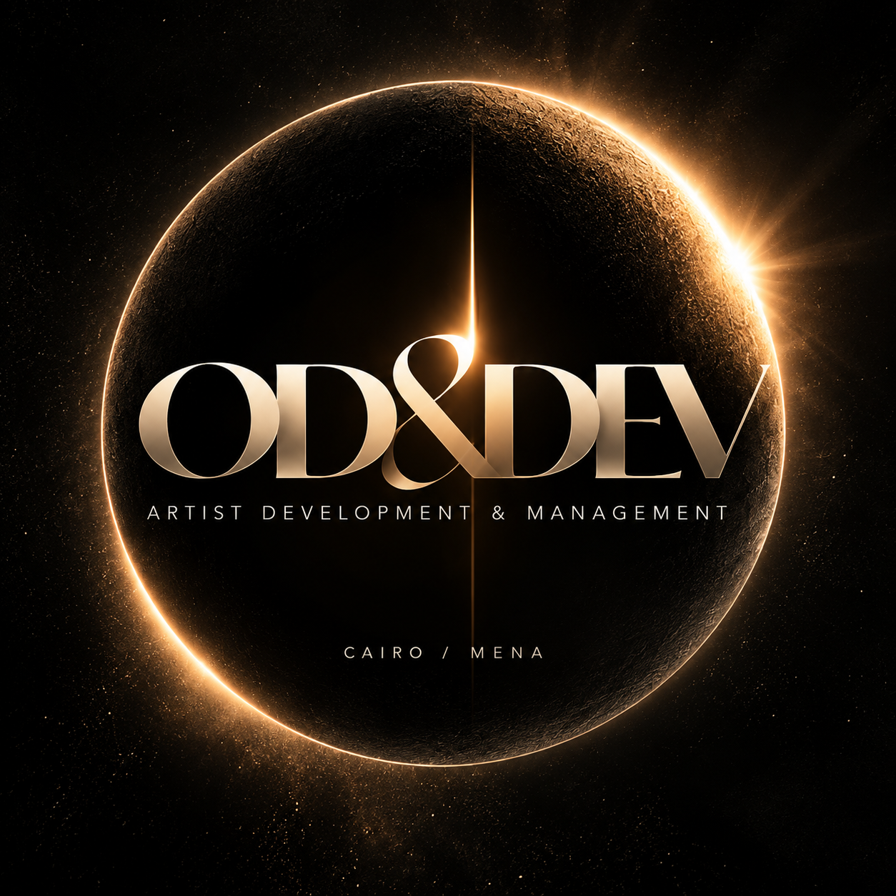 OD&DEV visual identity